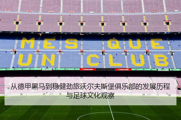从德甲黑马到稳健劲旅沃尔夫斯堡俱乐部的发展历程与足球文化观察