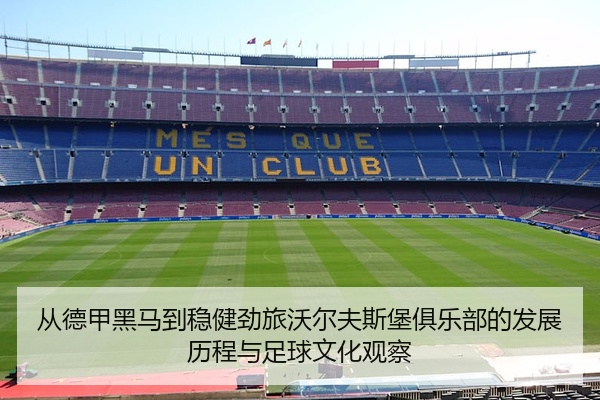 从德甲黑马到稳健劲旅沃尔夫斯堡俱乐部的发展历程与足球文化观察