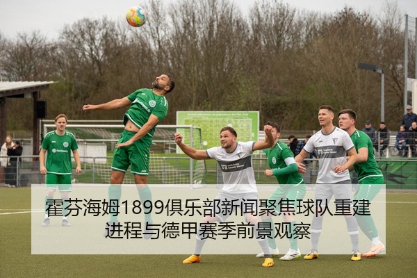 霍芬海姆1899俱乐部新闻聚焦球队重建进程与德甲赛季前景观察