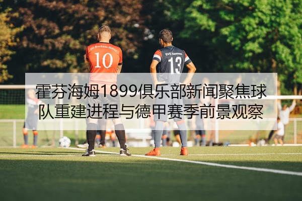 霍芬海姆1899俱乐部新闻聚焦球队重建进程与德甲赛季前景观察