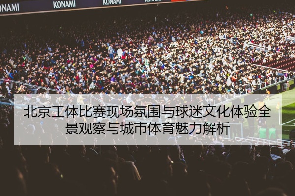 北京工体比赛现场氛围与球迷文化体验全景观察与城市体育魅力解析