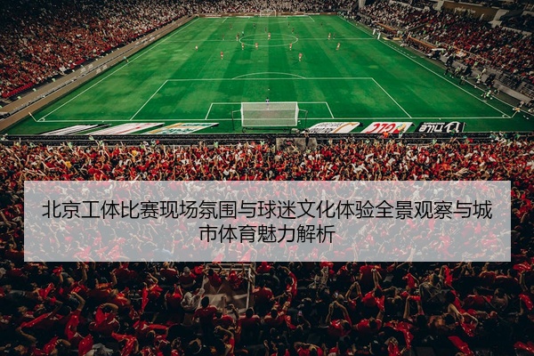 北京工体比赛现场氛围与球迷文化体验全景观察与城市体育魅力解析