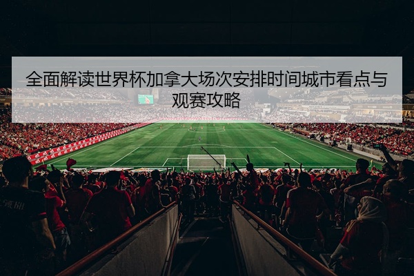 全面解读世界杯加拿大场次安排时间城市看点与观赛攻略