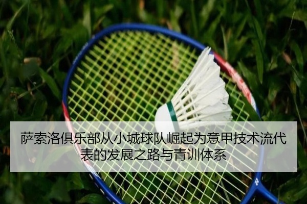 萨索洛俱乐部从小城球队崛起为意甲技术流代表的发展之路与青训体系