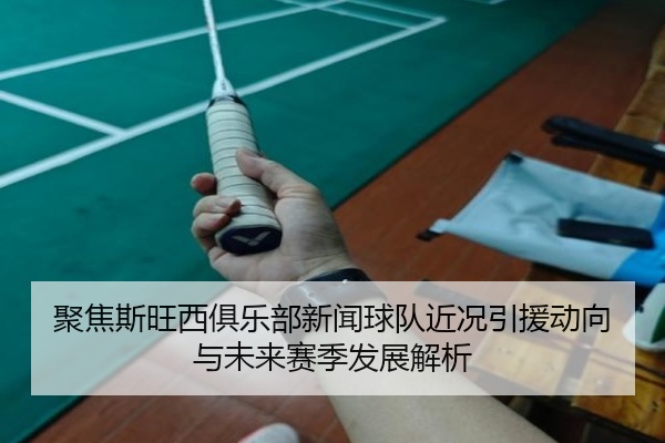 聚焦斯旺西俱乐部新闻球队近况引援动向与未来赛季发展解析