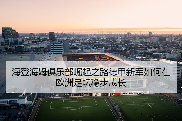 海登海姆俱乐部崛起之路德甲新军如何在欧洲足坛稳步成长