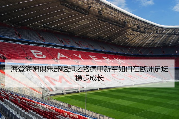 海登海姆俱乐部崛起之路德甲新军如何在欧洲足坛稳步成长